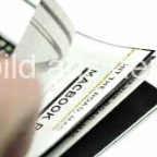 970
